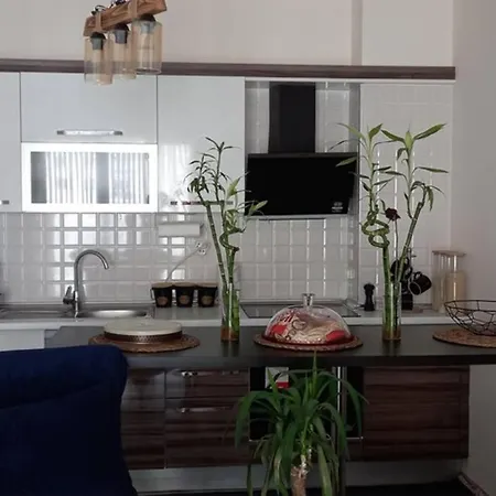 Aris Grand Tower איסטמבול